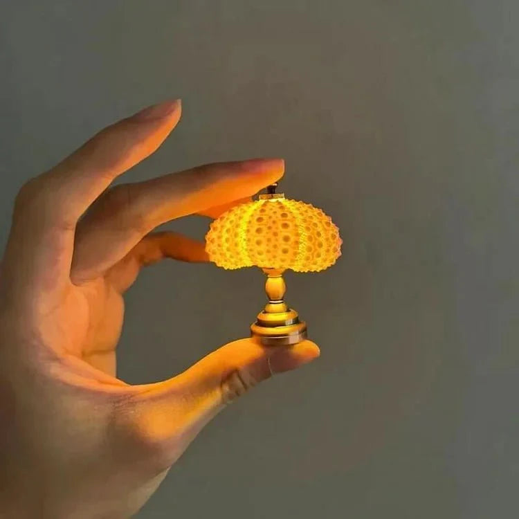 DIY zee-egel nachtlampje 1
