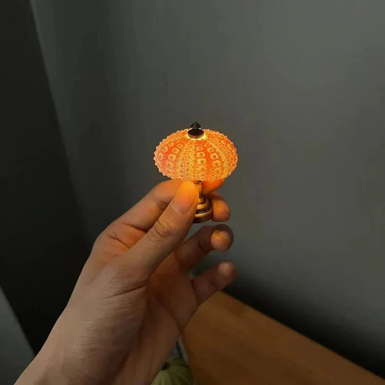 DIY zee-egel nachtlampje 3