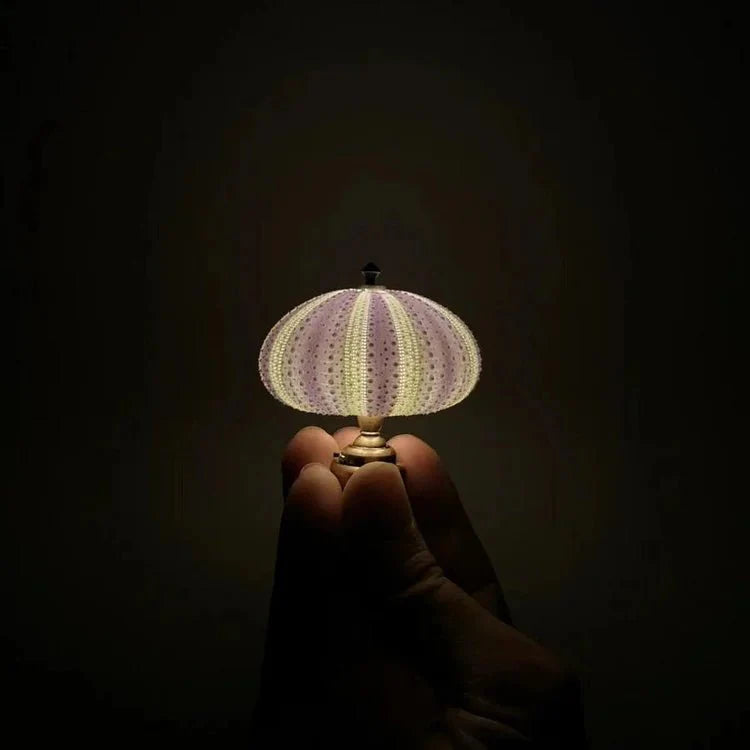 DIY zee-egel nachtlampje 5