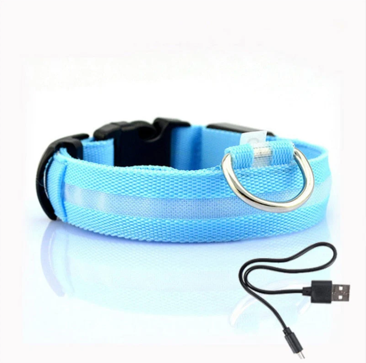 Hundehalsband mit LED-Leuchten 0