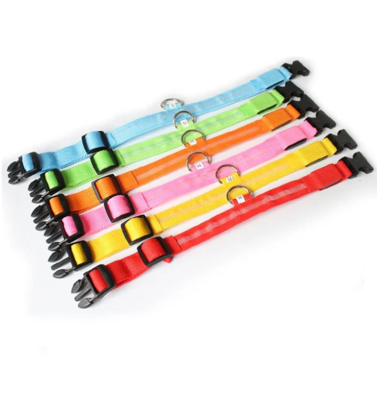 Hundehalsband mit LED-Leuchten 3