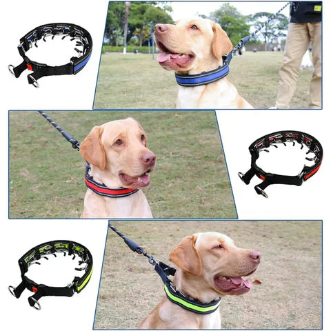 LeadEase Anti-Zug-Halsband | Anti-Zug-Trainingshalsband für kontrollierte und entspannte Spaziergänge 2