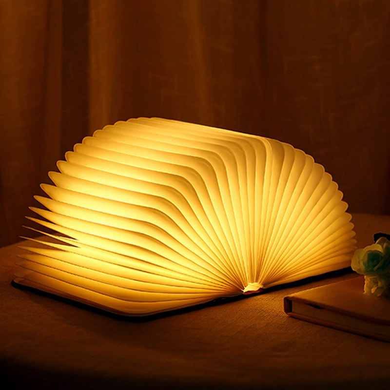 Mystische Buchlampe mit warmem Licht 0
