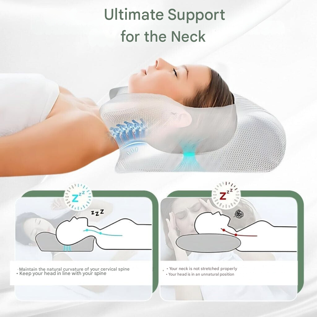 Orthopädisches Kissen – DreamAlign 8