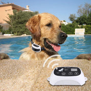 Wiederaufladbares drahtloses Hundezaun-Trainingssystem IP67 wasserdicht 1